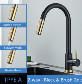 304 Stainless Steel Kitchen Pull-out Faucet (Option: Black Brush Gold-TPYE A)